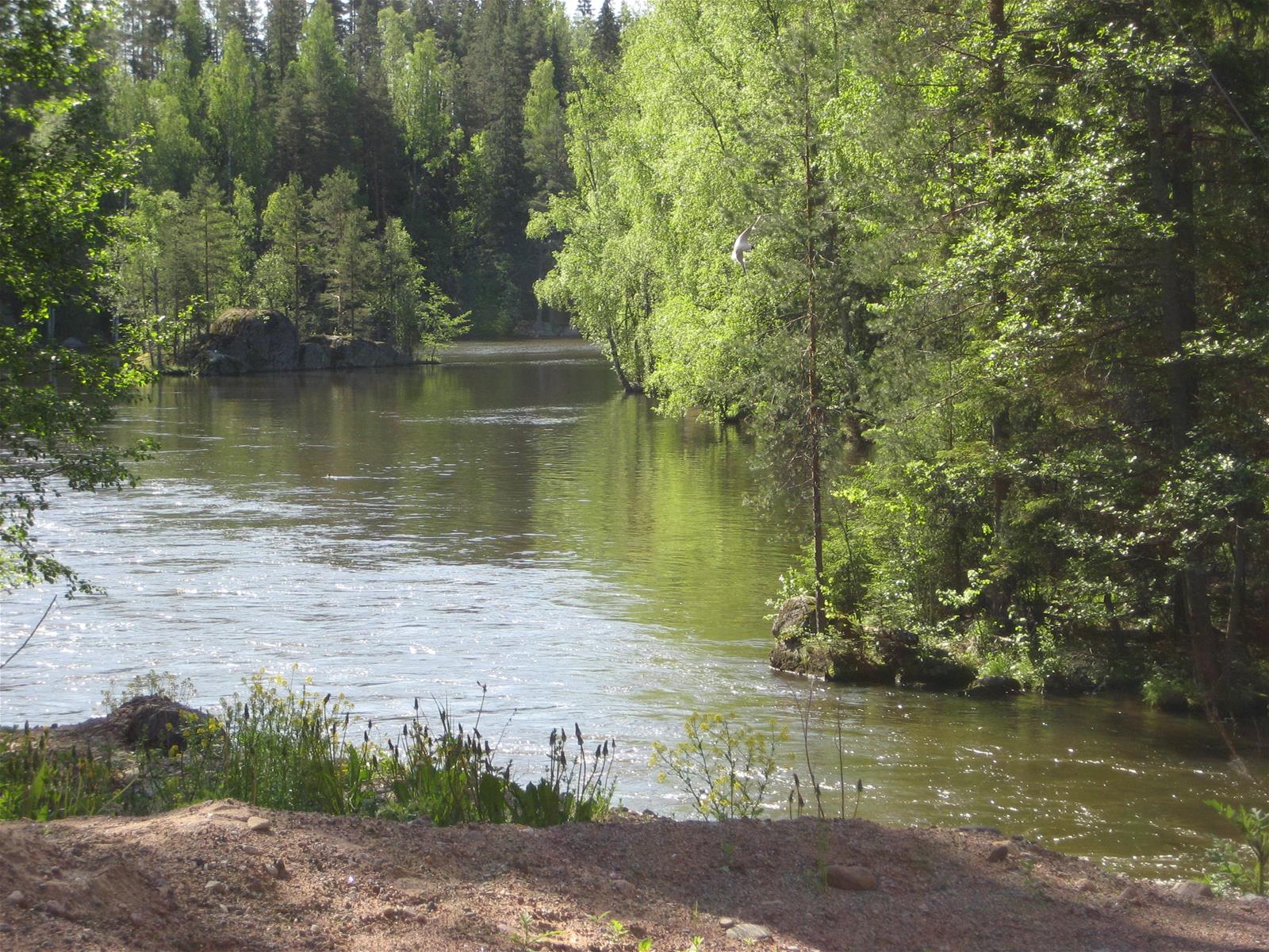 Hiitolanjoki - Rautjärvi